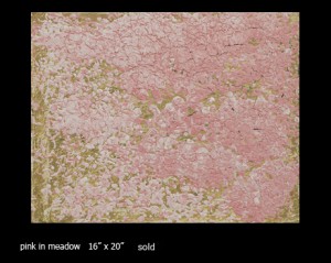 pink in meadow by Costabrero